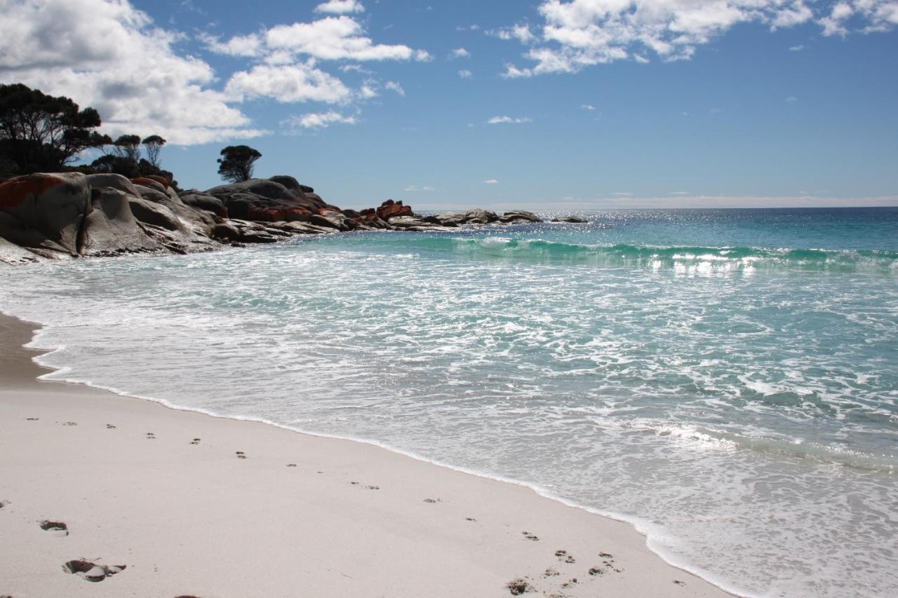 Binalong Beach Cottage Beachfront At Bay Of Fires Next To Restaurant Binalong Bay Exterior photo